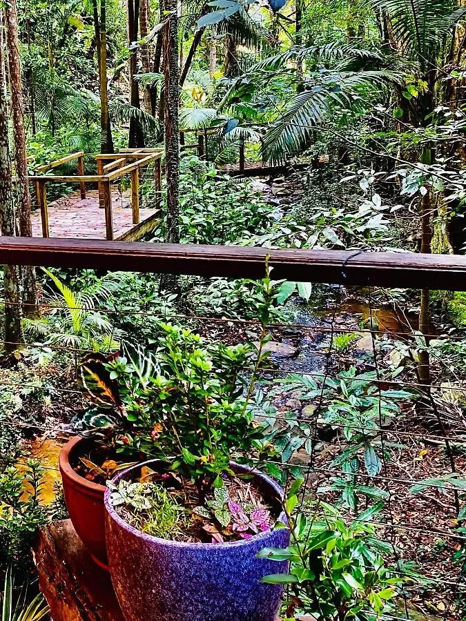 **** Station touristique Treetops Montville Australie