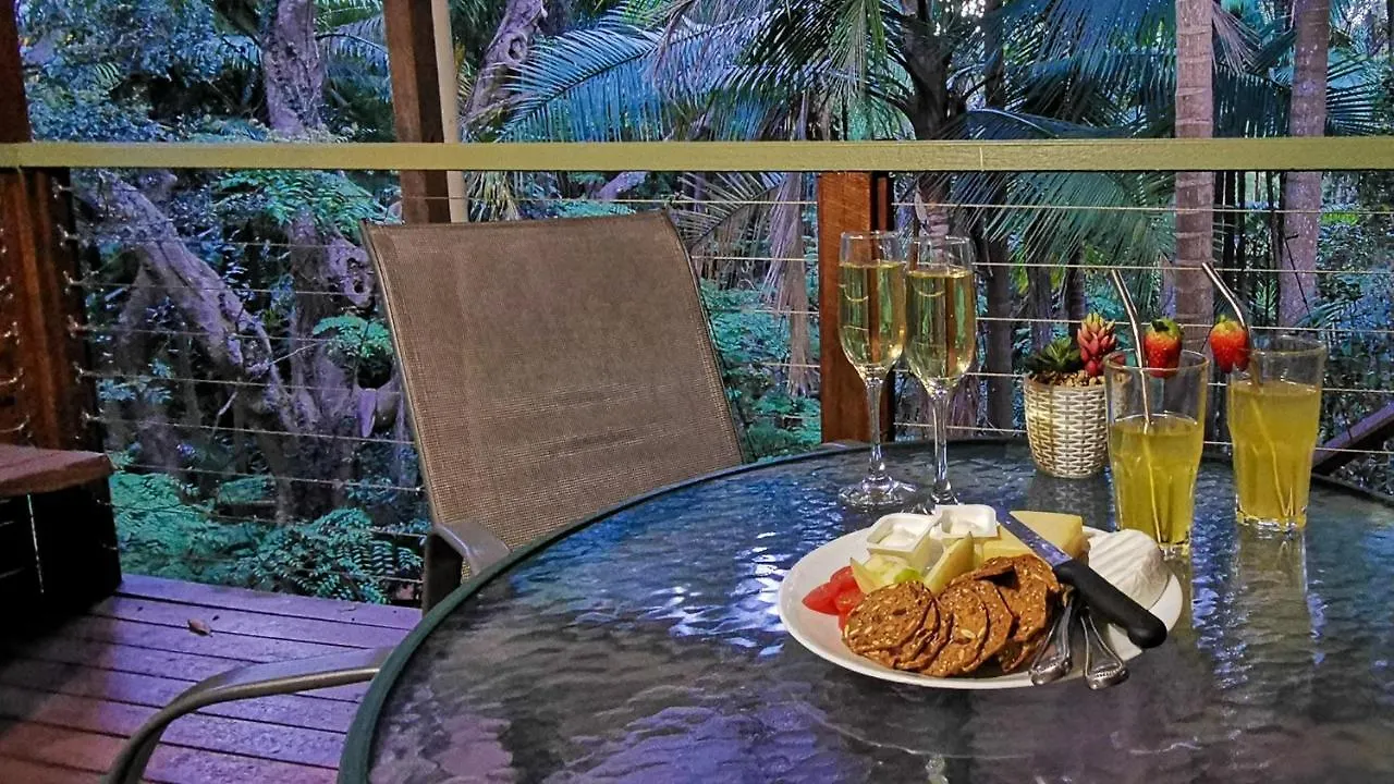 **** Station touristique Treetops Montville Australie