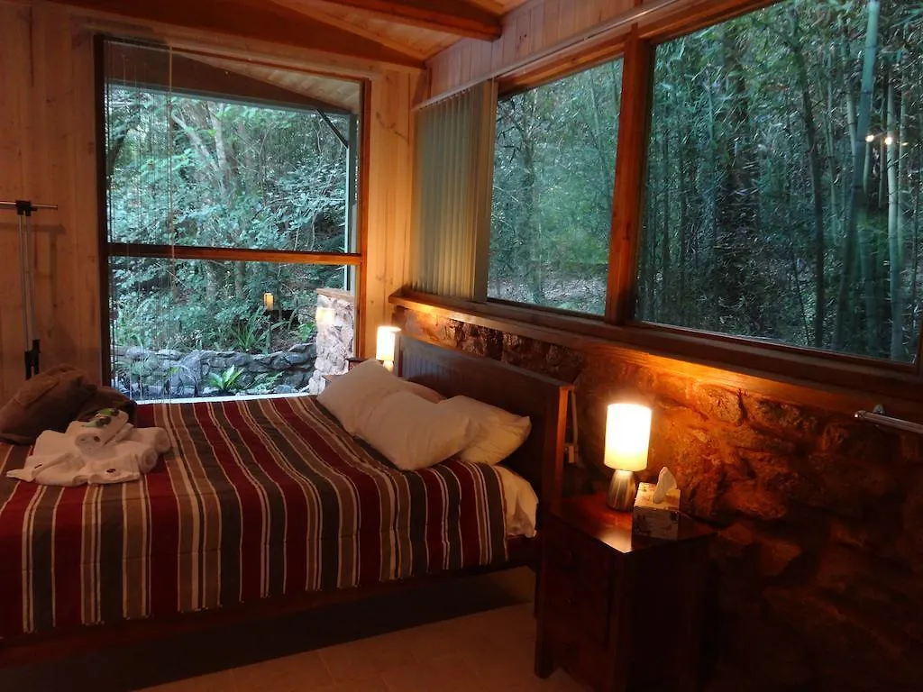 Treetops Montville Australie