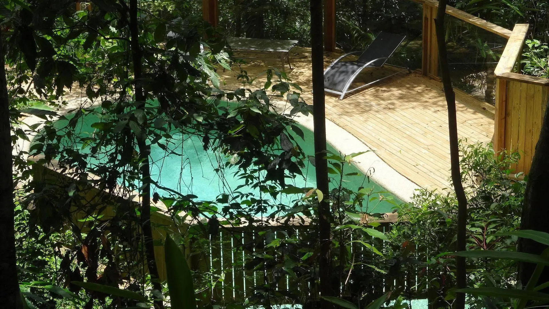 **** Station touristique Treetops Montville Australie