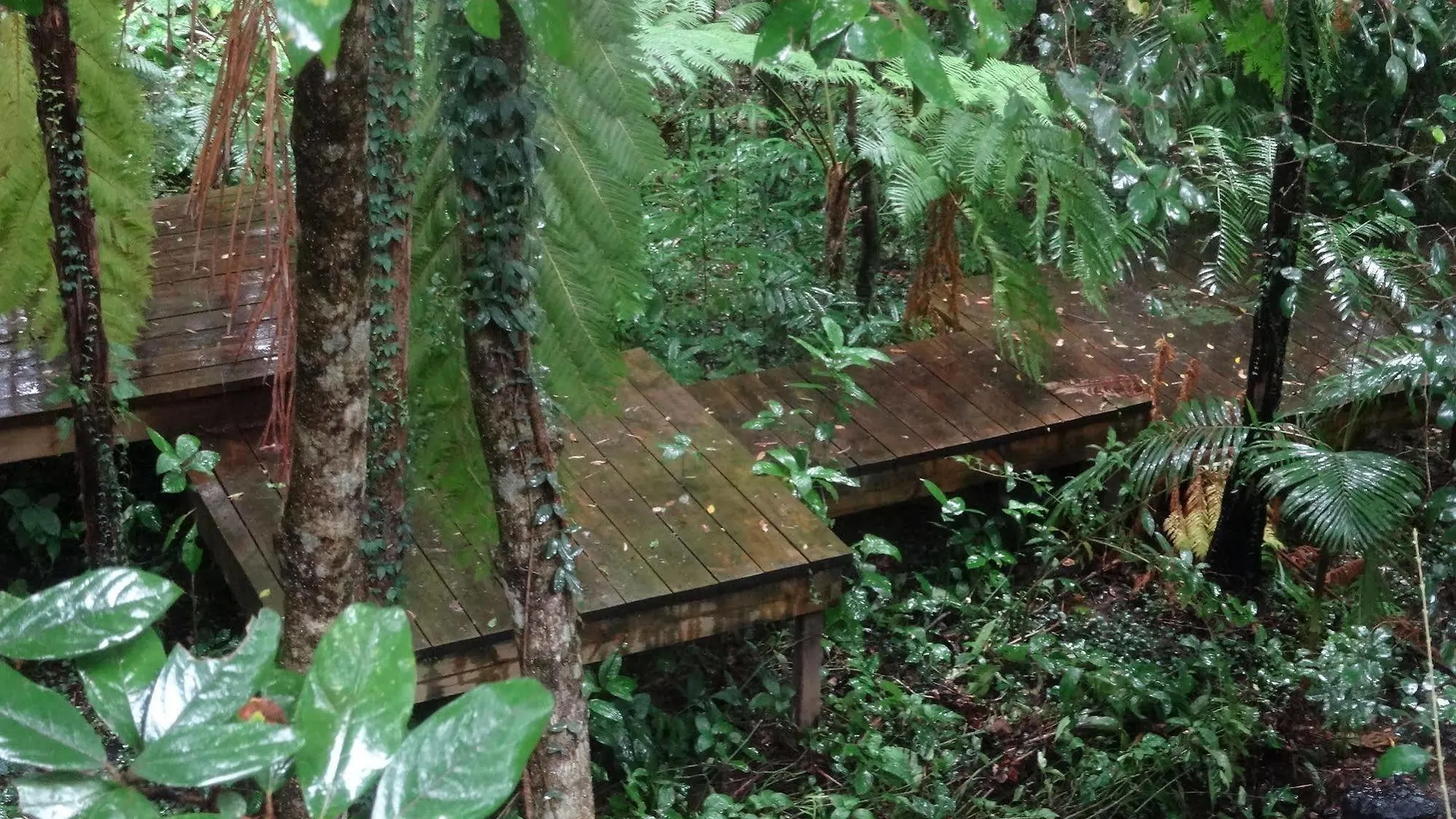 Treetops Montville