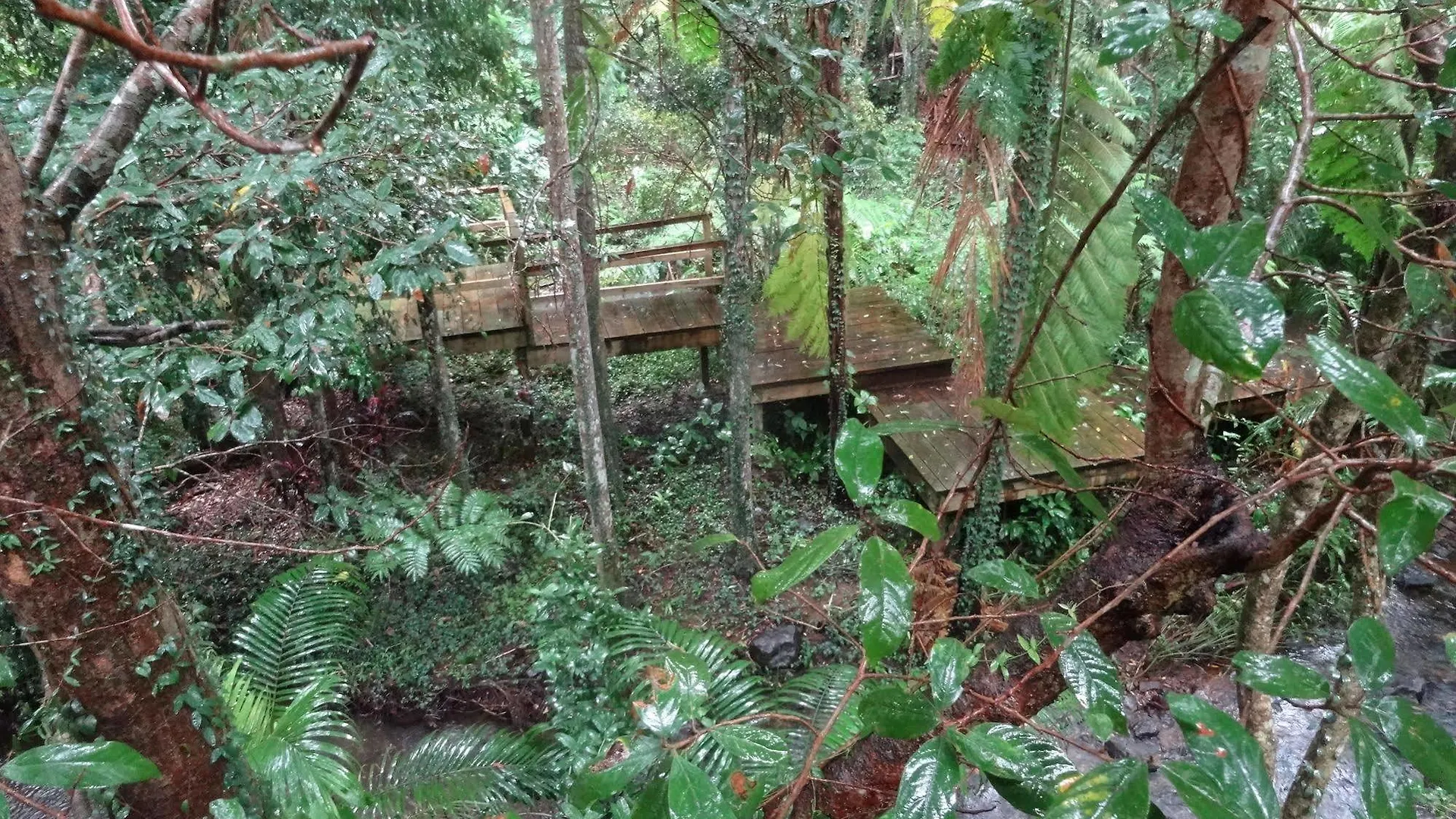 Station touristique Treetops Montville