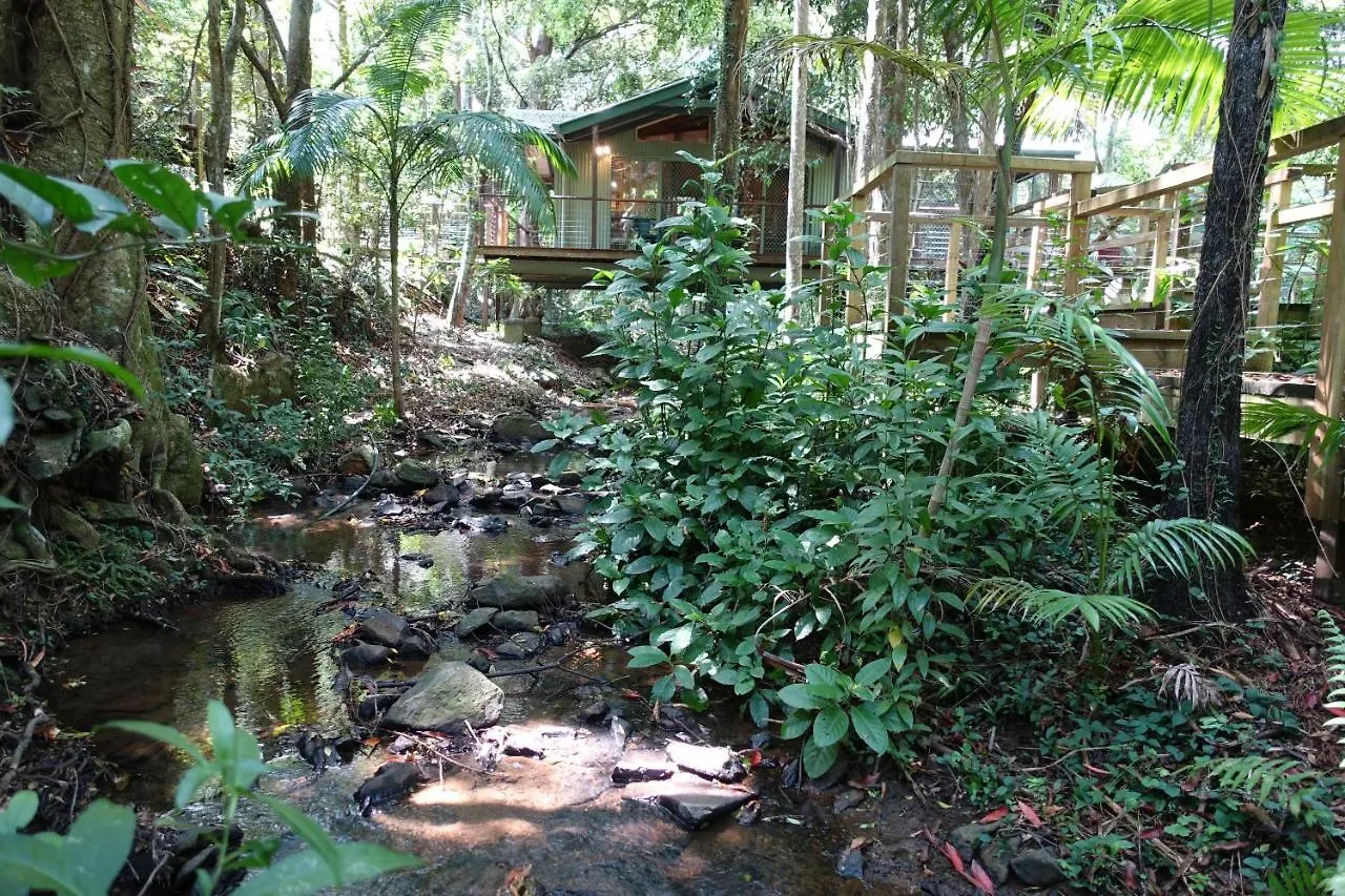 Treetops Montville